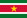 Flag of Suriname linking to GMMP 2025 National Report for Suriname (English)